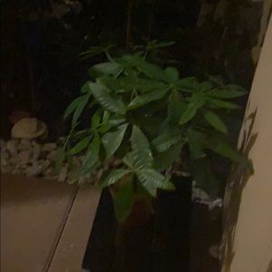 Meet your Posher, Sofia